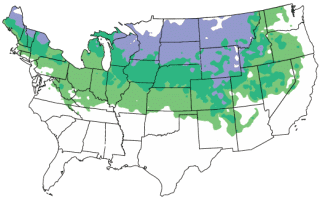 Hardiness Zone Map